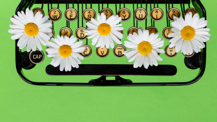 Documente as regras não escritas de seu time